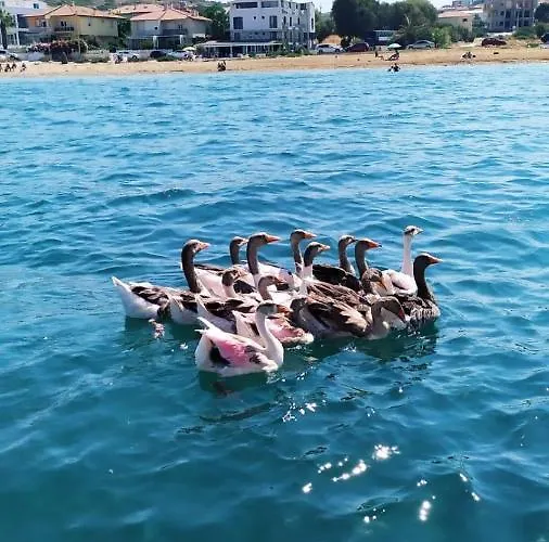 Ege Fener Szálloda Çeşme