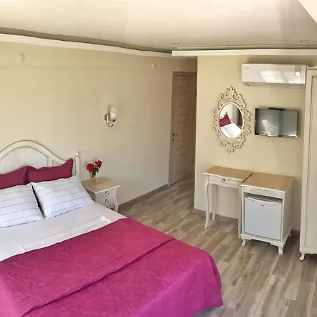 ホテル Ege Otel 2*